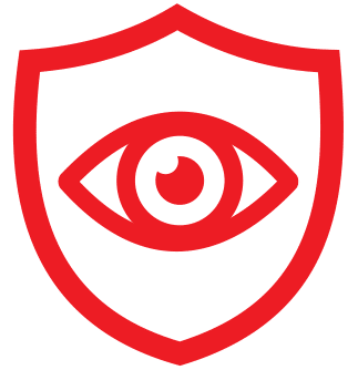 vision icon